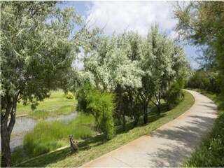 Parco vacanze Balaruc-les-Bains Ambiente 15