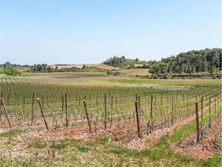 Ferienpark Cap d'Agde Umgebung 37