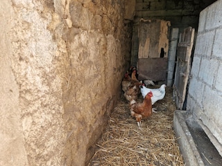 Ferienhaus Plougonven  21