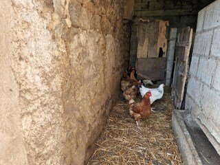 Maison de vacances Plougonven  19