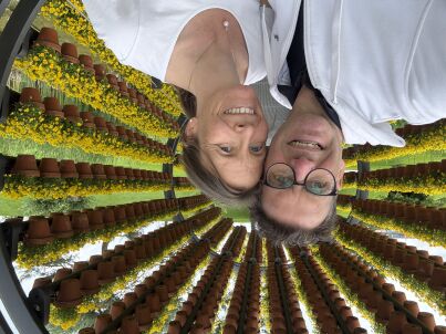 Firma Kühlungsborner Zimmervermittlung -  Anke Schulz