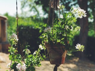 Casa vacanze Cardona  36