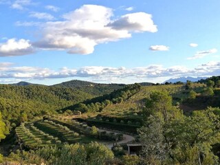 Casa vacanze Cardona Ambiente 34