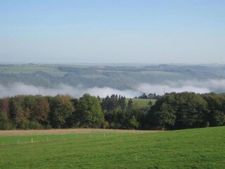 Ferienpark Nommern Umgebung 21