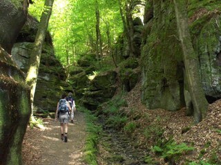 Ferienpark Nommern Umgebung 26