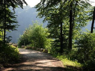 Ferienpark Nommern Umgebung 27