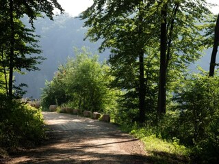 Parc de vacances Nommern Environnement 45