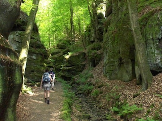 Parc de vacances Nommern Environnement 48