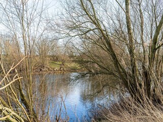 Vakantiehuis Biddinghuizen Omgeving 39