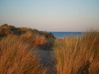 Ferienpark Valras-Plage Umgebung 24