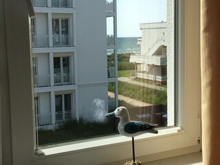 Vakantieappartement Großenbrode Kenmerken 12