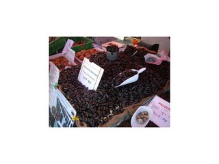 Maison de vacances Annoville Environnement 21