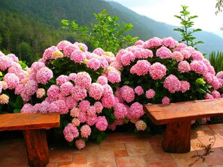 Vakantiehuis Maissana Buitenaudio-opname 7