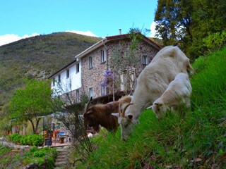 Ferienhaus Maissana Außenaufnahme 11
