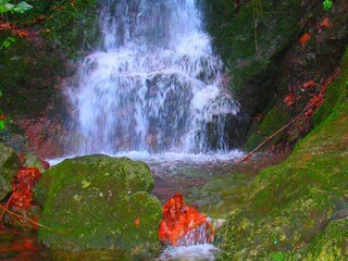 Vakantiehuis Maissana Omgeving 31