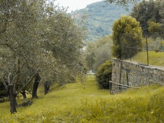 Casa per le vacanze Maissana Ambiente 32