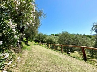 Casa per le vacanze Maissana Ambiente 22