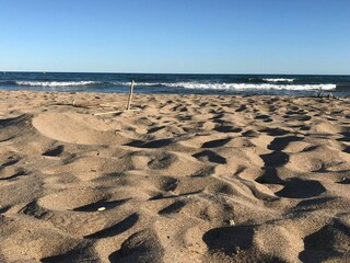 Ferienpark Valras-Plage Umgebung 18