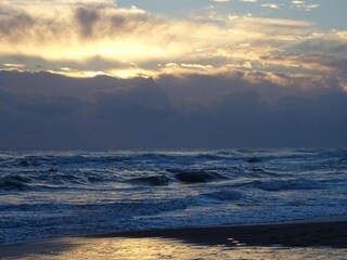 Vakantiepark Le Grau-du-Roi Omgeving 28