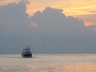 Vakantiepark Le Grau-du-Roi Omgeving 30