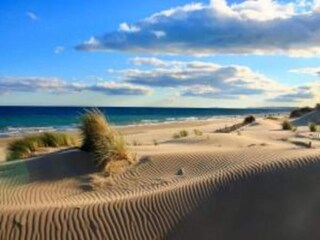 Parc de vacances Le Grau-du-Roi Environnement 26