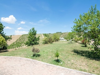 Apartment Acquaviva Picena Außenaufnahme 8