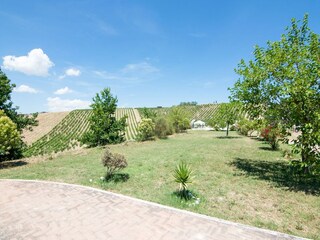 Appartement Acquaviva Picena Buitenaudio-opname 3