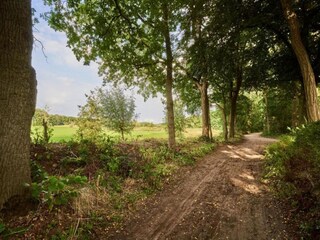 Ferienpark Oosterhout Umgebung 10