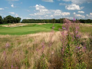 Vakantiepark Oosterhout Omgeving 18
