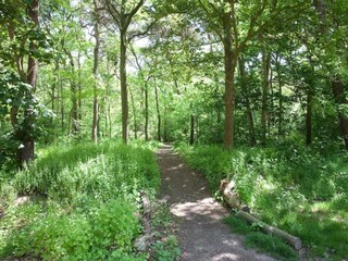 Ferienpark Oosterhout Umgebung 19