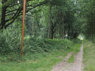 Parco vacanze Oosterhout Ambiente 13