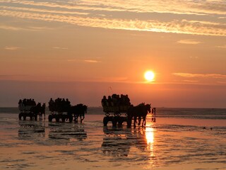 Wattwagen im Wattenmeer