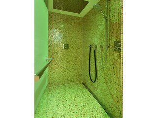 Wellnessbereich mit Regendusche, farb. LED-Beleuchtung