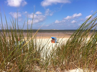 Strand bei Utersum