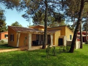 Ferienhaus Ferienanlage Istrian Villas Villa V SV4P2 - Umag - Novigrad - image1