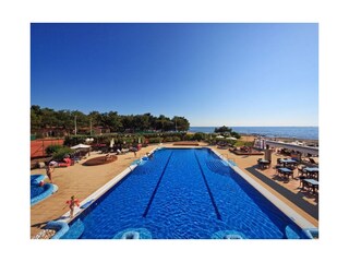 Ferienhaus Umag - Novigrad Umgebung 24