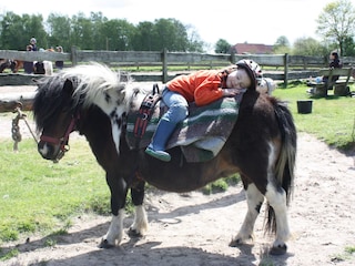 It is not all horse-back riding...