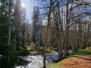 Apartment Morzine Environment 28
