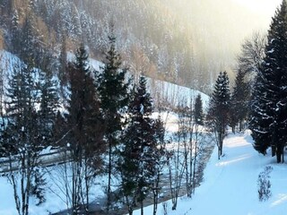 Apartment Le Grand-Bornand  15