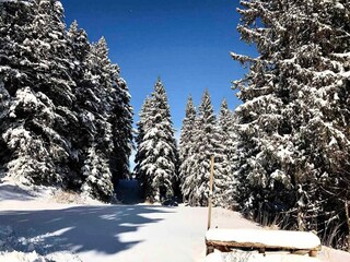 Appartamento Chamrousse Ambiente 29