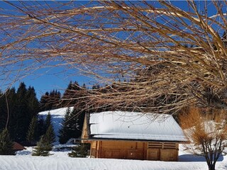 Appartement Le Grand-Bornand Buitenaudio-opname 13