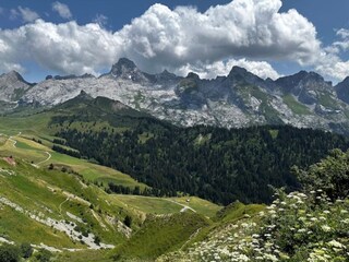 Appartement Le Grand-Bornand Buitenaudio-opname 25