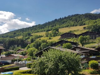 Appartement Le Grand-Bornand Environnement 20