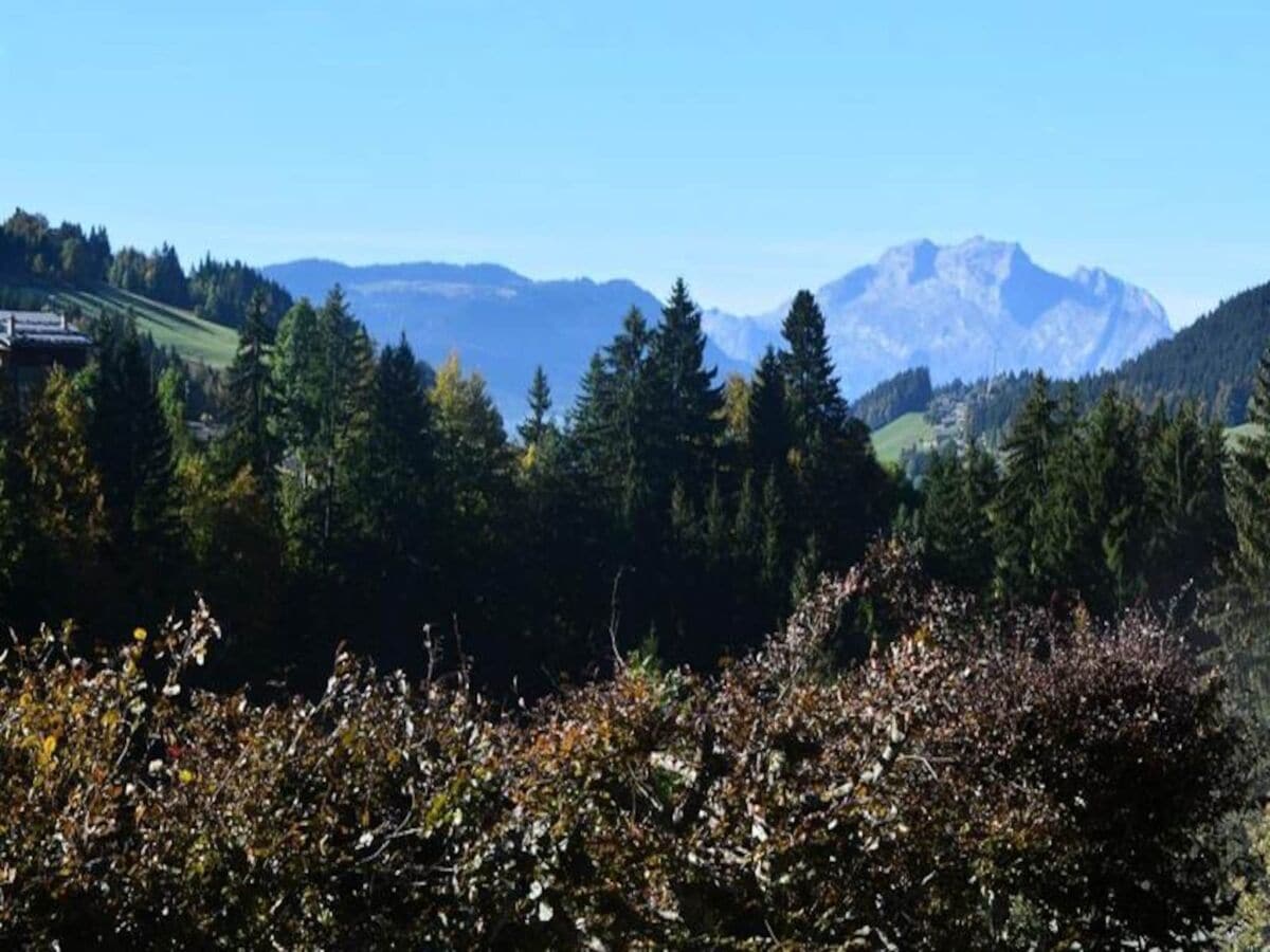 Appartement Le Grand-Bornand  1