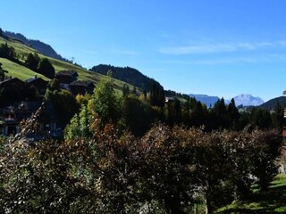 Apartment Le Grand-Bornand  19