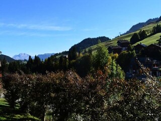 Appartement Le Grand-Bornand Buitenaudio-opname 6