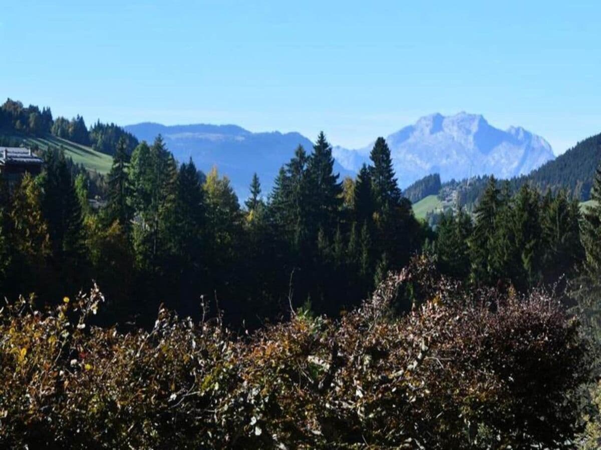 Apartment Le Grand-Bornand Outdoor Recording 1