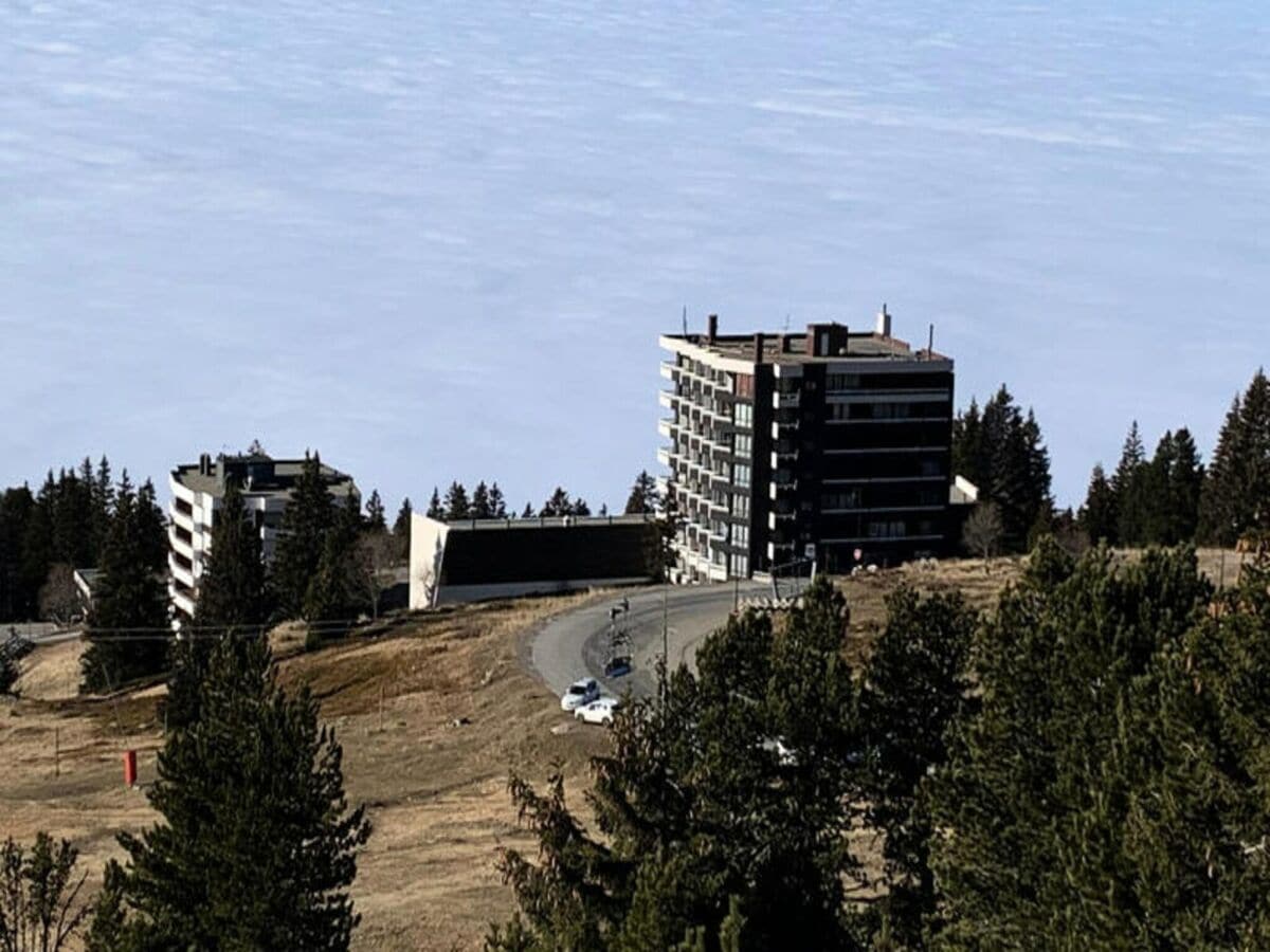 Appartement Chamrousse  1