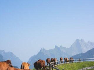 Appartement La Clusaz Buitenaudio-opname 7