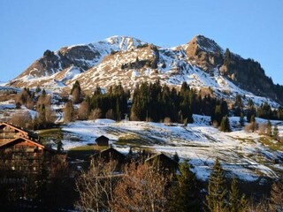 Appartement Le Grand-Bornand Buitenaudio-opname 27